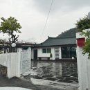 스테이 감도 이미지