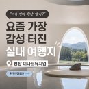 네이처다이브 | “여기 진짜 평창 맞아?” 요즘 가장 감성 터진 실내 여행지📍 평창 이나트뮤지엄 완전 정리!!