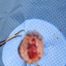 해운대조은동물병원 이미지