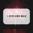 켄넬퀸비 네이버블로그