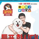 [★필독공지/투표 인증샷 이벤트★] 투표합시다! 반려견의 행복한 미래를 위해서 꼭 대선후보 투표에 참가해 주세요! 이미지