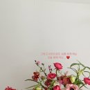 핏어팟(Pit A Pat) 이미지