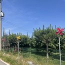 팽성남산4길 이미지