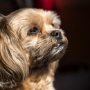 물빛동물병원 이미지