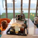 WR(부산광역시 북구)-[학사로]-하-5 | 부산실내애견카페 화명동 헤브카페 방문후기