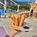 비발디렌통령 이미지