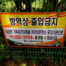 준향리목장 이미지