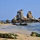 동해바다 이미지