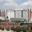 서울대학교 이미지