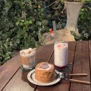 아이피오레 | 동탄 장지동 이색 카페 아이와 방문하기 좋은 식물 카페 피오레