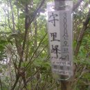 원기농장 이미지