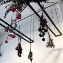 아랑플라워 이미지