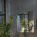 김순례순살치킨속초교동점 이미지