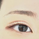 도로시펌 | 평택 소사벌 속눈썹펌 추천 👀 도로시 왁싱앤뷰티 유지력 좋은 컬 후기