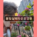 봄빛실버타운요양원 이미지