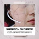 엘핌스