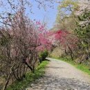 안민고개길 입구 이미지