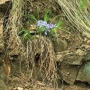 머리풍경 이미지