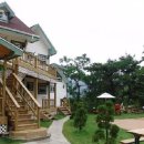 팔색조 펜션 이미지