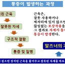 바른자세의 과학연구원 네이버블로그