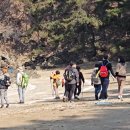 솔향기 가득한 펜션 | 태안숙소 추천 감성 가득한 독채 자드락펜션 가족 봄여행 숙소로 좋아요