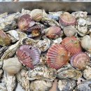 2024 천북 굴축제 이미지