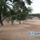 호미목장 이미지