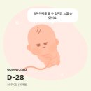 엠오케이(주) | [36-38주] 분만법 정하기 (자연분만 vs 유도분만 vs 제왕절개) / 손수건세탁 / 출산D-1