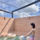 아레나로하 이미지