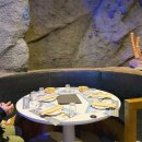 공룡할인마트 | 수원 롯데타임빌라스 맛집 트라이아스 공룡레스토랑 아이랑 방문 후기