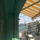 쁘띠 애견 이미지