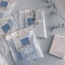 계산기 인생 139 (부제:자유와 맞바꾼 경제력)