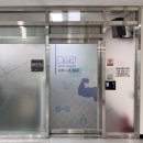 고양국민체육센터 헬스장 | 강동국민체육센터 가성비 헬스장 시설 일일권 후기 수영 요가 줌바댄스 필라테스 운영시간 가격
