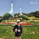 코리아플라워 이미지