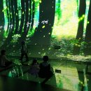 향천리(금오산)야외운동기구 | 구미 에코랜드 새마을운동 테마공원 금오 랜드 무료 구미 여행 코스