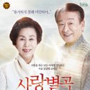 장성문화예술회관 대공연장 이미지