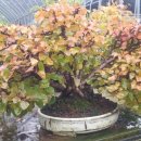 일순농장 이미지