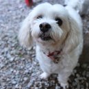 헤라펜션 이미지