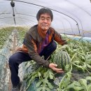 이순길농장 이미지