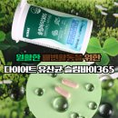엔케이유통 | 다이어트유산균 슬림바이365 체지방 감소와 장 건강을 한 번에 잡는 비결