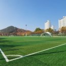 옥구인조잔디축구장 이미지