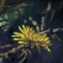 숲속이야기 이미지