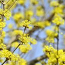 상쾌한 항구병원 이미지