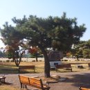 경주고등학교 이미지