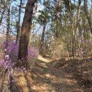 하대행정복지센터 이미지