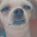 FW FITNESS 이미지