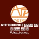 ATP Boxing 이미지