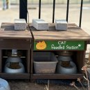 퍼스트 스윔 | 용인 처인구 에버랜드 근처 브런치맛집 카페스윔 추천