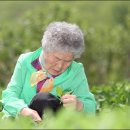 보리원농장 이미지