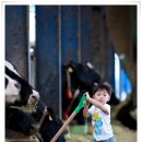 준이목장 이미지